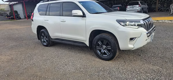 Vendo prado en excelentes condiciones físicas y mecánicas