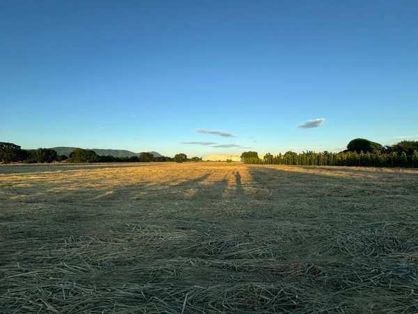 Venta de Terreno en Carretera Nueva a Leon 