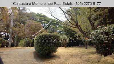 Land Sale in Carretera to Masaya