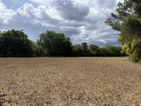 Venta de terreno urbano de 8 manzanas con 1,213.62 varas cuadradas.