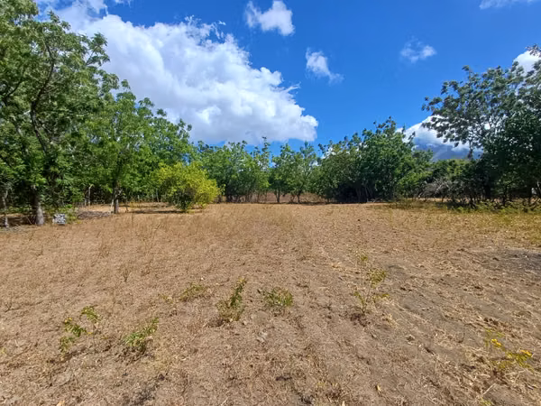 ¡Oportunidad en Ometepe! Amplio terreno con vista al Volcán Concepción 