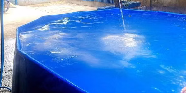 Willi pool