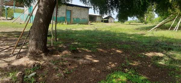 SOLD FARM OF 37 APPLE. SAN RAFAEL DEL SUR