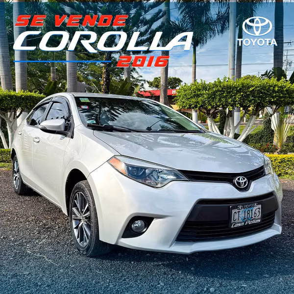 I sell vehicle, noisy corolla