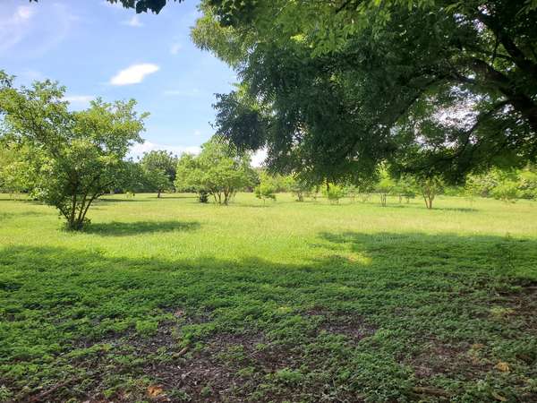 AP-Vendo terreno en Carretera Masaya, Tipitapa km 33