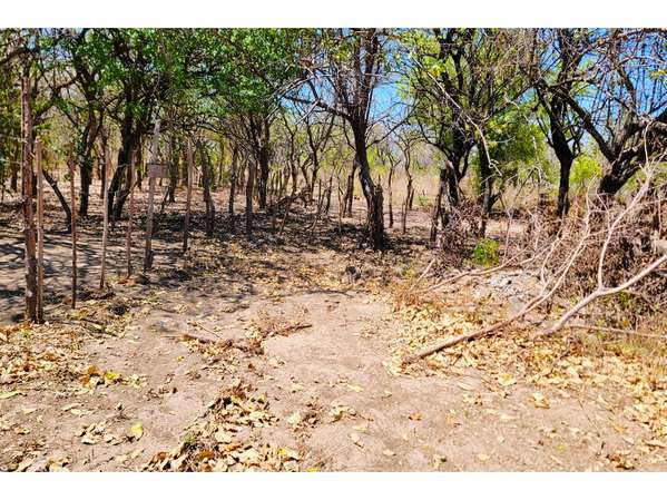 Se vende terreno en los Brasiles, Managua