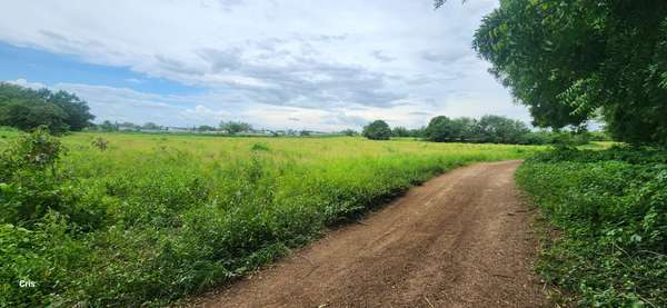 Farms for sale in Sabana Grande