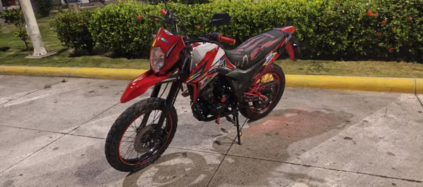 Genesis SX1 year 2024
