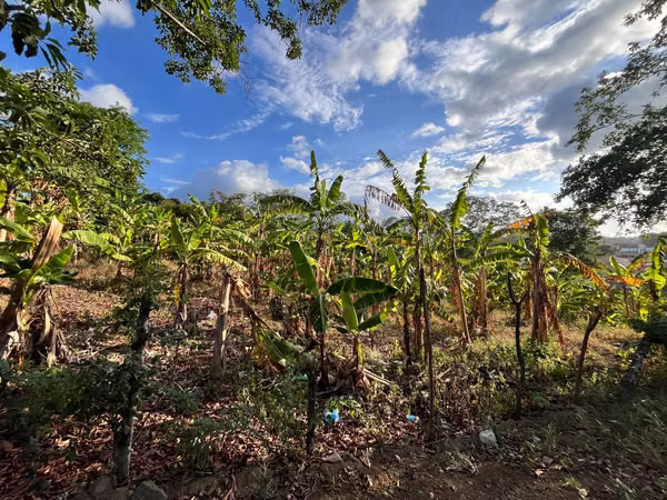¡TERRENO EN VENTA EN SANTO DOMINGO – EXCELENTE PARA LOTIFICAR!