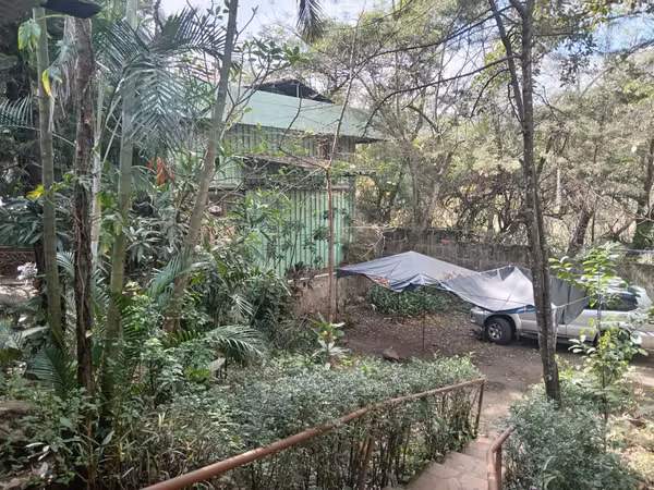 EXCELENTE UBICACIÓN COMERCIAL EN MATAGALPA | POTENCIAL EXCELENTE