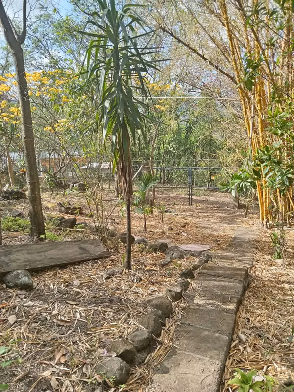 EXCELENTE UBICACIÓN COMERCIAL EN MATAGALPA | POTENCIAL EXCELENTE