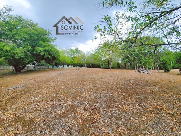 Land for Sale Road to Veracruz