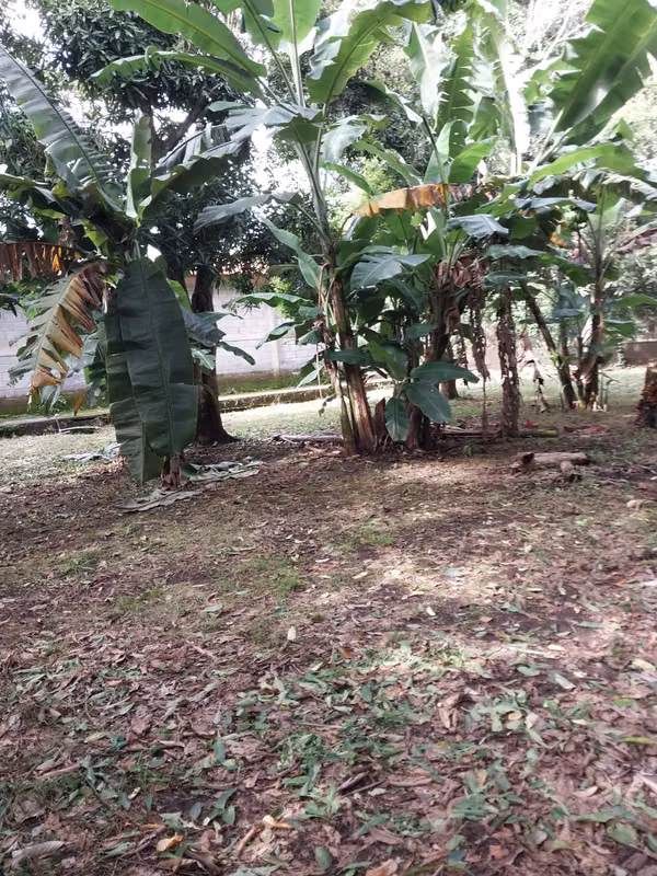 Casa Quinta El Rosario Carazo