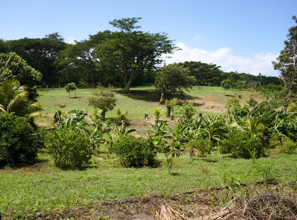 EN VENTA: Finca en Carazo, 1mz completa
