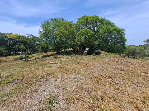 The property is up to date with its tax, clean title, ready to be transferred.