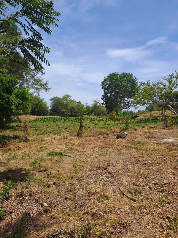 The property is up to date with its tax, clean title, ready to be transferred.