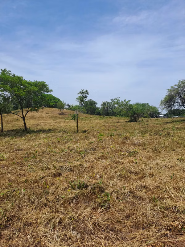 The property is up to date with its tax, clean title, ready to be transferred.