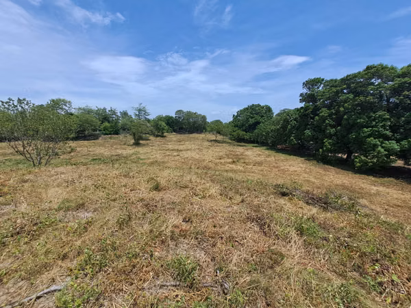 The property is up to date with its tax, clean title, ready to be transferred.