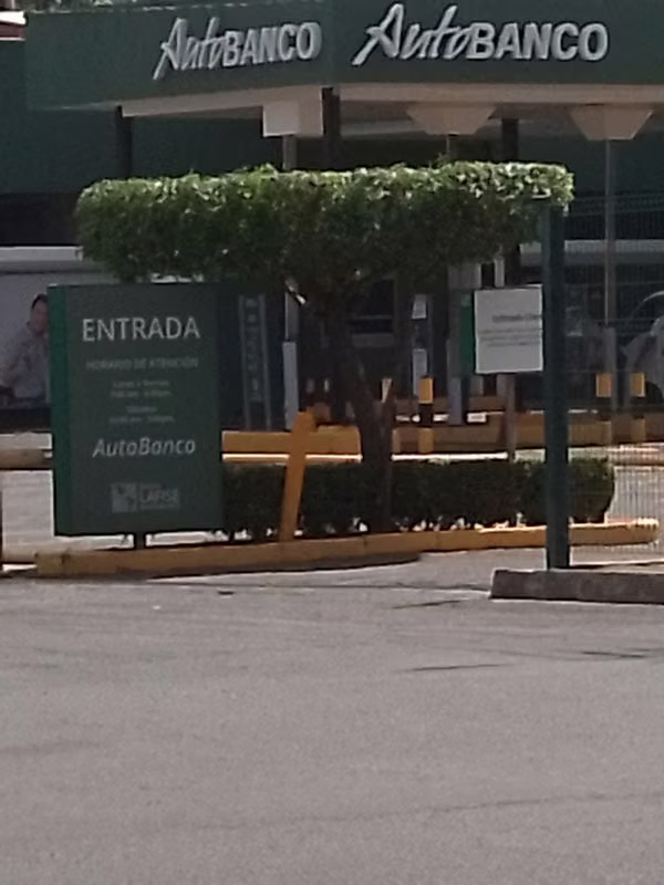 Jardine service Cleaning and maintenance of gardens. Responsible and quality work. Call us or it is