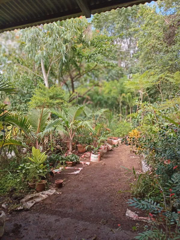 Land in rent for food business - Road to Masaya