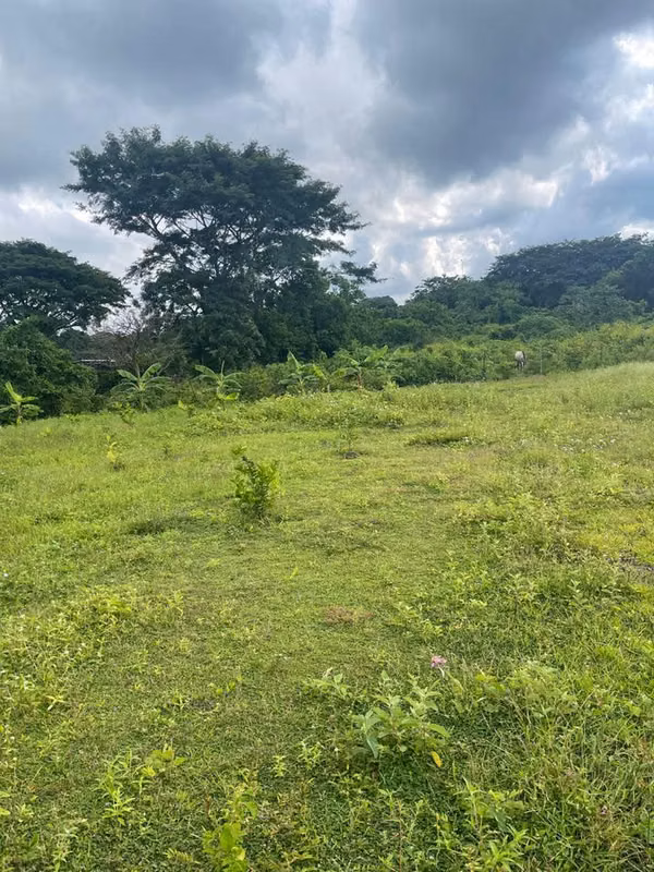 10,000 VARAS² EN CHIQUILISTAGUA CARRETERA VIEJA A LEON .
