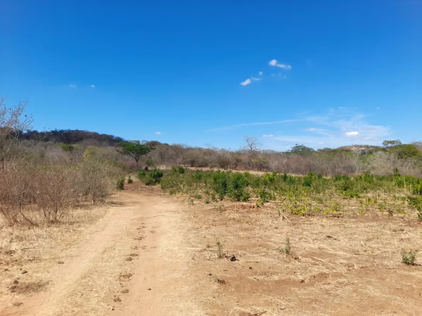 SOLD FARM OF 6OO APPLES LOCATED IN DIRIAMBA CARAZO
