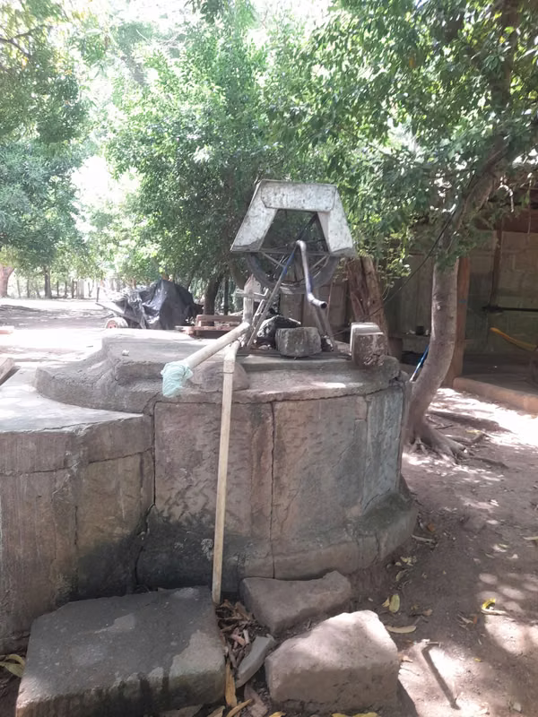 SALE FARM OF 96 BLOCKS LOCATED IN THE TRINITY DIRIJAMBA CARAZO