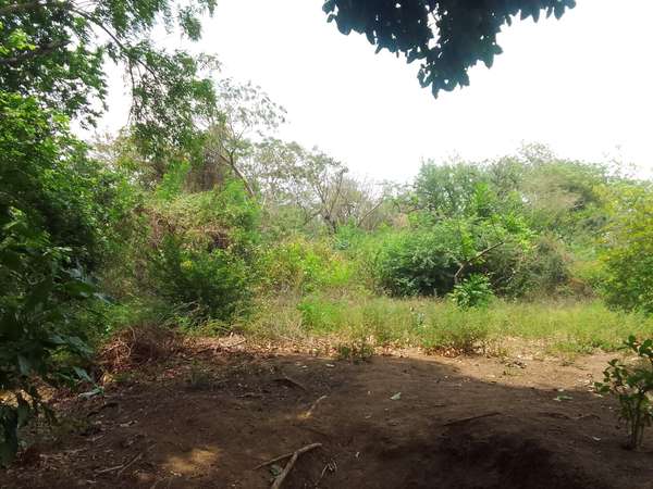 Venta de Terreno en Pochocuape 