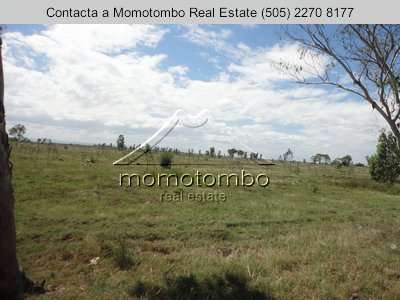 Land sale in El Timal, Tipitapa