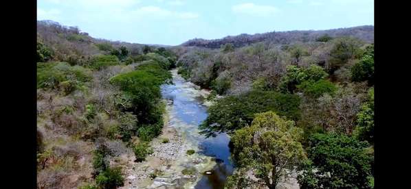 Sale of Finca in Jinotepe