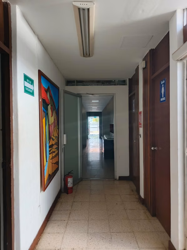 BOLONIA - SE RENTA LOCAL COMERCIAL DE OFICINAS