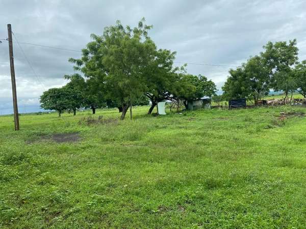 Sale of Finca in Tipitapa