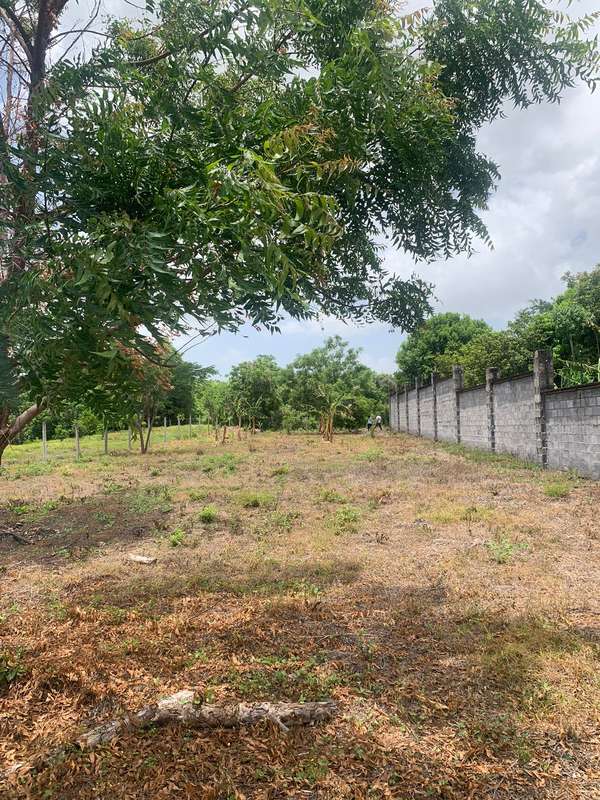 SL-I sell land in Veracruz