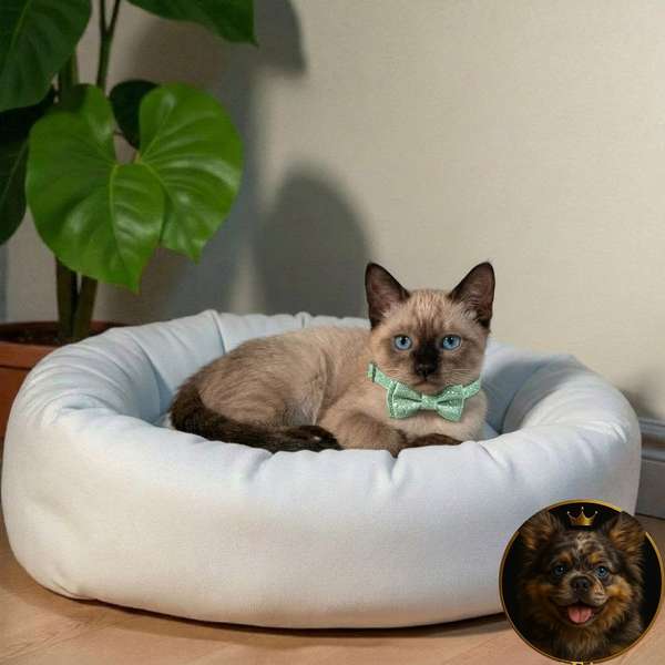 Catito SIAMES available