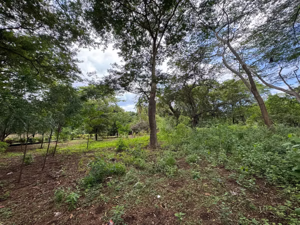 Venta de Terreno en Masachapa