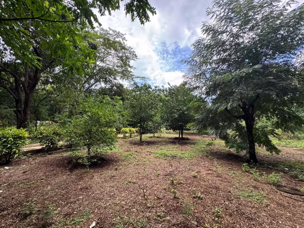 Venta de Terreno en Masachapa