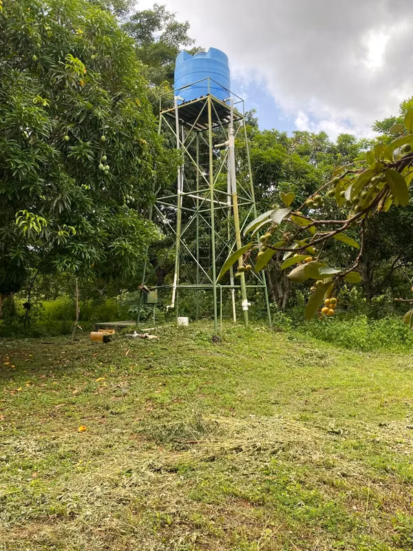 Sale of House in Tisma