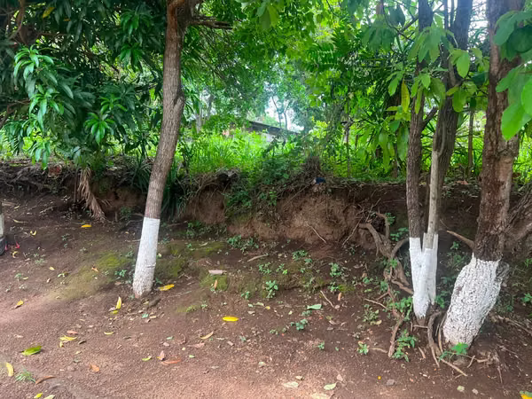 Venta de Terreno en Carretera Sur