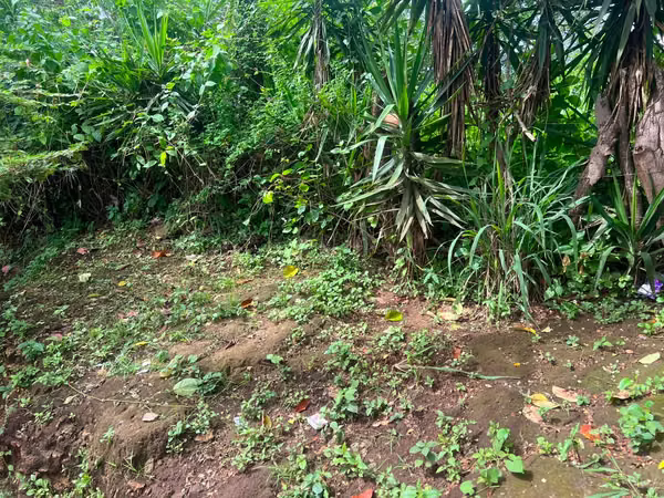 Venta de Terreno en Carretera Sur