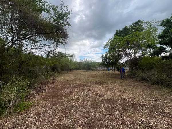 VENTA O RENTA DE TERRENOEN EL km 11.5 CARRETERA VIEJA A LEON