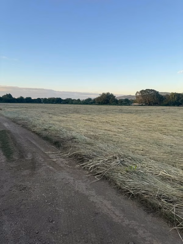 Venta de Terreno en Carretera Nueva a Leon