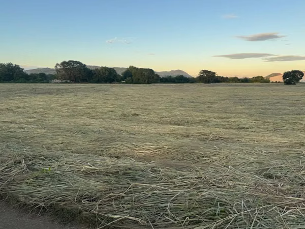 Venta de Terreno en Carretera Nueva a Leon