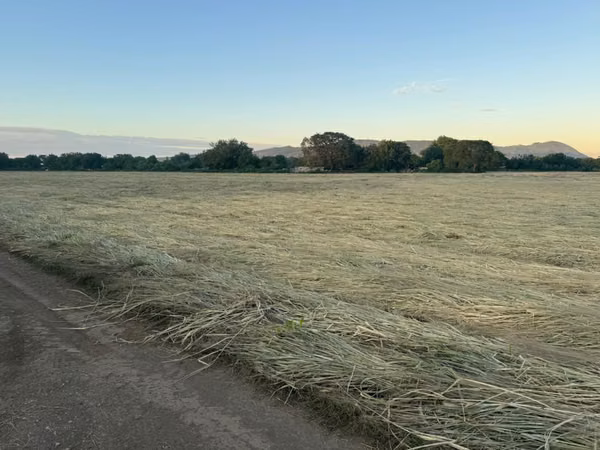 Venta de Terreno en Carretera Nueva a Leon