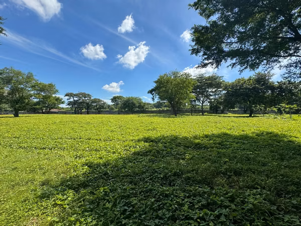 Venta de Terreno en Nejapa
