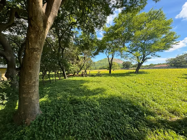 Venta de Terreno en Nejapa