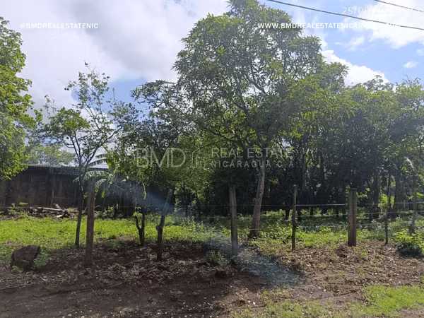 Excellent investment opportunity in Tecuantre 5382