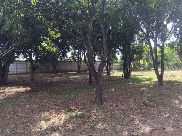 Sale of House in Veracruz
