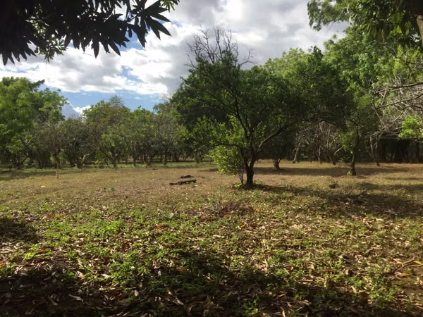 Sale of House in Veracruz