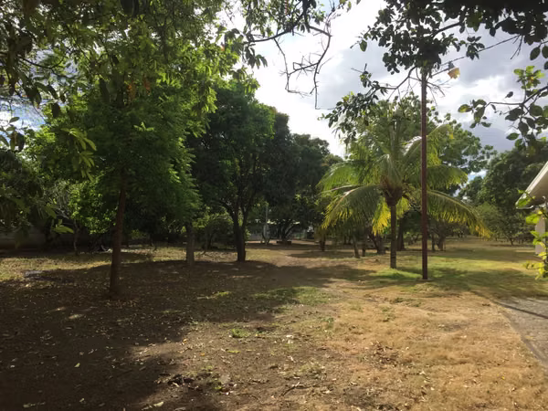 Sale of House in Veracruz