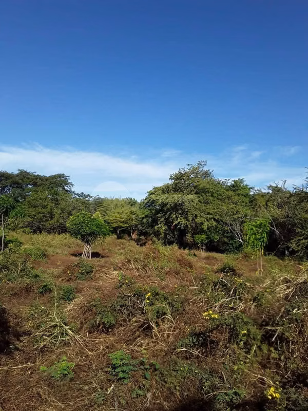Lot for sale in Leon